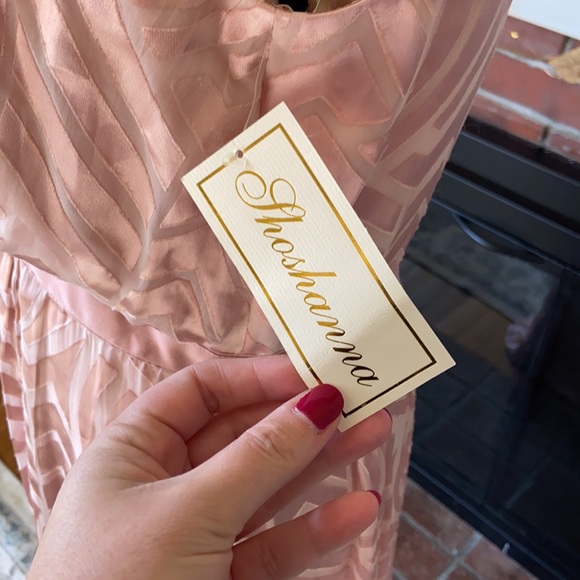 Shoshanna | NWT Blush Gown - Picture 10 of 13